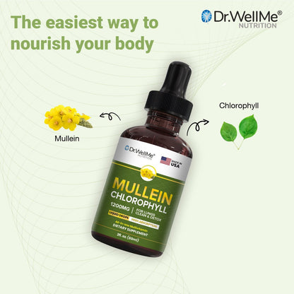 Mullein Drops with Chlorophyll new